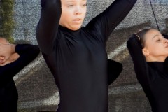 DSC_3246